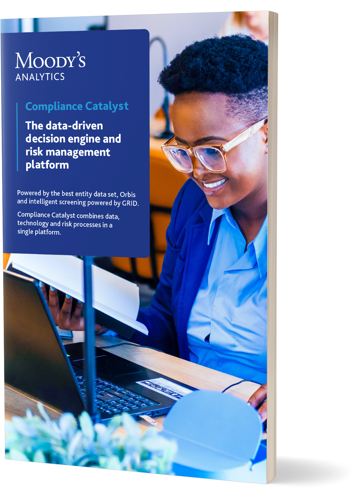 Compliance Catalyst brochure